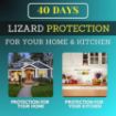 Picture of Lizard Repellent Spray  Lizard Spray Lizard Killer
