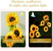 Picture of Solar Garden Lights Outdoor SUN FLOWER GARDEN LIGHT SUNFLOWER GARDEN LIGHT Solar Powered Realistic Sunflower Lights Waterproof Decorative Landscape Lights