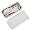Picture of PLASTIC SPOON SET WITH BOX FOLDABLE SPOON SET SET WITH BOX Cutlery Set Wheat Straw Portable Spoon Folk Chopstick Portable Cutlery Set Travel Spoon Fork Chopstick box