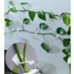 Picture of Plant Climbing Wall Fixing Clip Wall Vines Fixing Clips Plant Climbing Holder Fixer Self-Adhesive Fixture