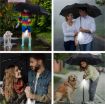 Picture of auto open Umbrella Portable Travel Umbrella for Rain Big Size 3 Fold with Auto Open and Close Umbrella