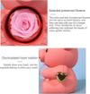 Picture of Bear Ring Box Rose Bear Gift box