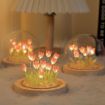 Picture of Tulip Lamp Tulip Night Light Flower Bedside Sleeping Light Tulip Table Lamps