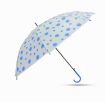 Picture of BLUE DOT UMBRELLA TRANSPARENT UMBRELLA New Polka Dot Pattern Folding Umbrella for Kids and Adults for School College and Office