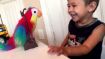 Picture of POPAT BOLTA POPAT Talk Back Battery Operated Parrot Toy for Kids TOTA