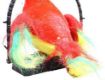 Picture of POPAT BOLTA POPAT Talk Back Battery Operated Parrot Toy for Kids TOTA