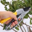 Picture of Gardening Scissor Stainless Steel Garden Snip  Cutting Scissors