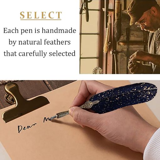 Picture of Pen Calligraphy Pen Set Feather Pen Fountain Dip Pen and Ink Set  Ink Pen