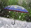 Picture of Flower Print Umbrella Umbrella Boys and Girls Use for Rainy Weather Outdoor Use Multicolor