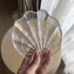 Picture of Jewelry Tray Terrarium Decor Shell Shape Plates Glass Clear Salad Bowls Decorative Sea Shell Shaped Salad Plates