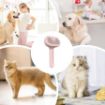 Picture of Pet Grooming Brush  Dog Brush Steam Cat and Dog Comb  Steam Cat Brush
