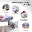 Picture of Pet Grooming Brush  Dog Brush Steam Cat and Dog Comb  Steam Cat Brush