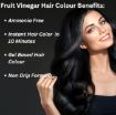 Picture of Fruit Vinegar Hair Color  Hair Color Black Color Dye Hair Colour Gel
