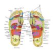 Picture of Yoga Slipper Yoga paduka Accu Paduka Acupressure and Magnetic Therapy Paduka