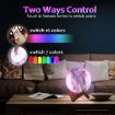 Picture of 3D Print 16 Color Changing Moon Decorative Night Light Lamp with Remote Touch Control