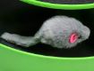 Picture of Catch The Mouse Cat Scratcher Interactive Toy  Cat Interactive Toys with a Running Mice