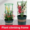 Picture of Plant Supporter Device Plastic Plant Cage Holder Pot Climbing Trellis
