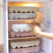 Picture of 18 Grids Egg Egg Storage Box with Lid Egg Preservation Box Buckle Design Egg Storage Box Freestanding Egg Tray Suitable for Home